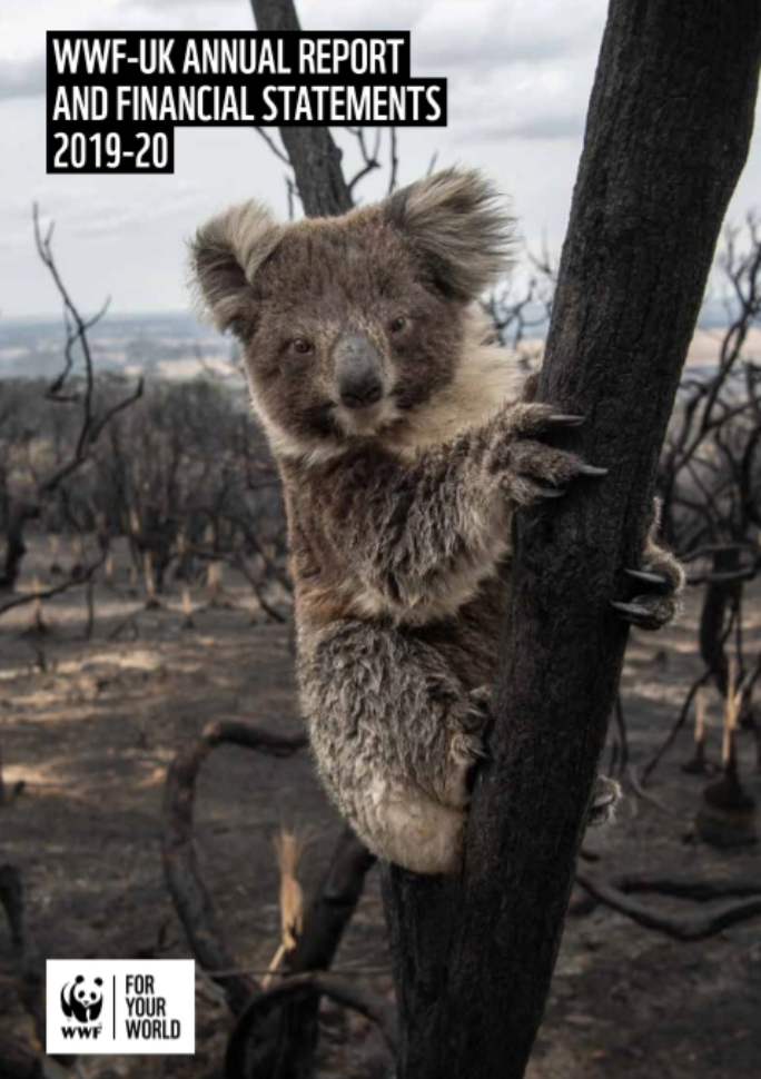 WWF-UK Annual Report And Financial Statements 2019-20 | WWF